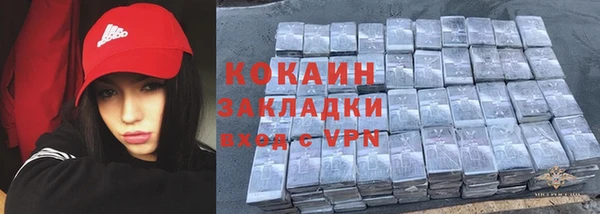 дживик Майский