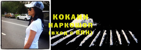 дживик Майский