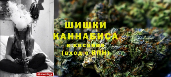 молекула духа Кулебаки