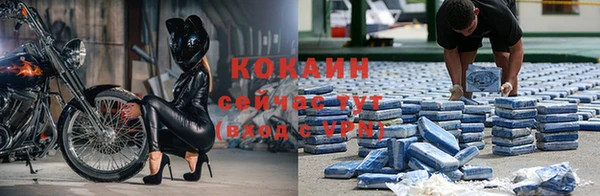 стафф Лабытнанги